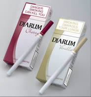 Djarum Clove Cigarettes, or Kretek sticks ~ 3 flavours Cherry, Vanilla and Menthol